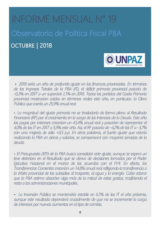 Informe Mensual Nº 19