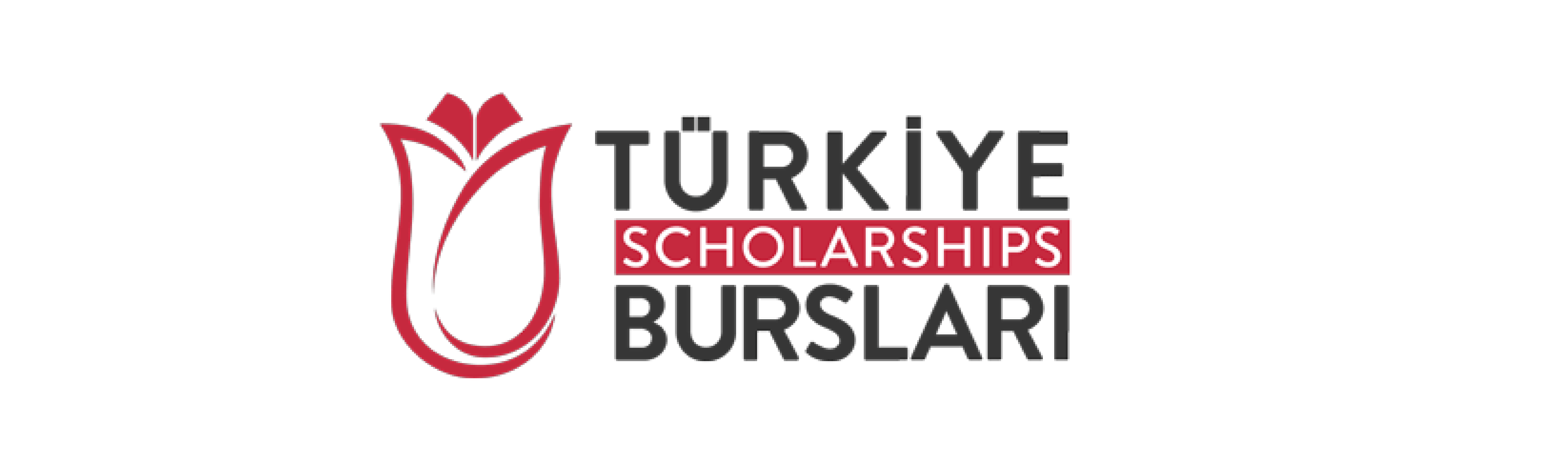 CONVOCATORIA ABIERTA A BECAS TURKIYE 2024 - unpazz