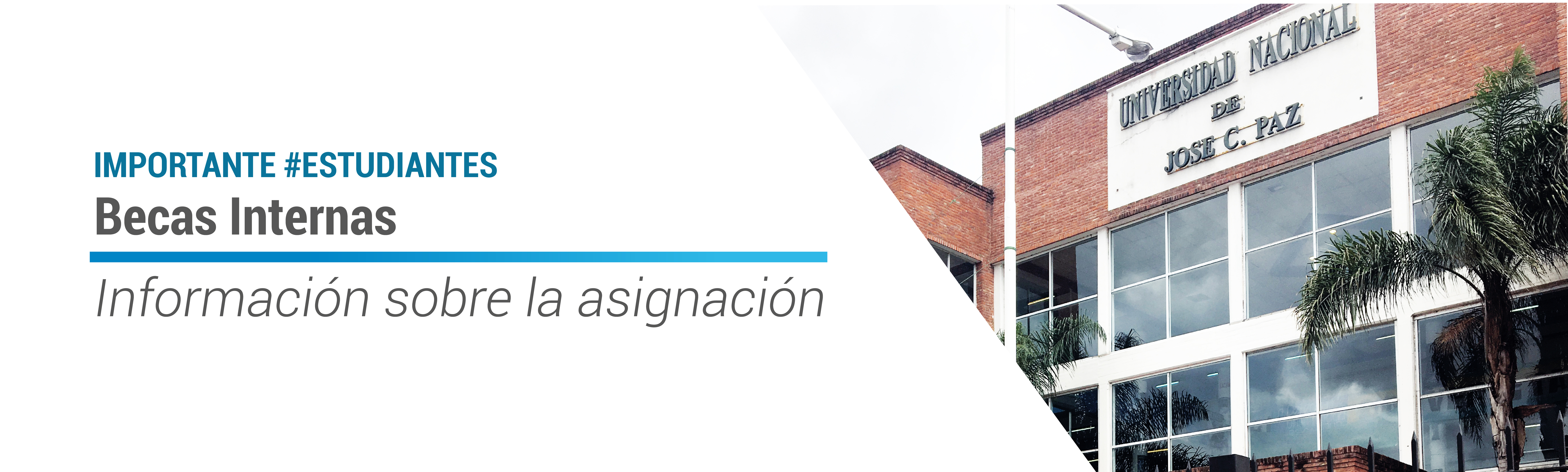 Becas internas asignación