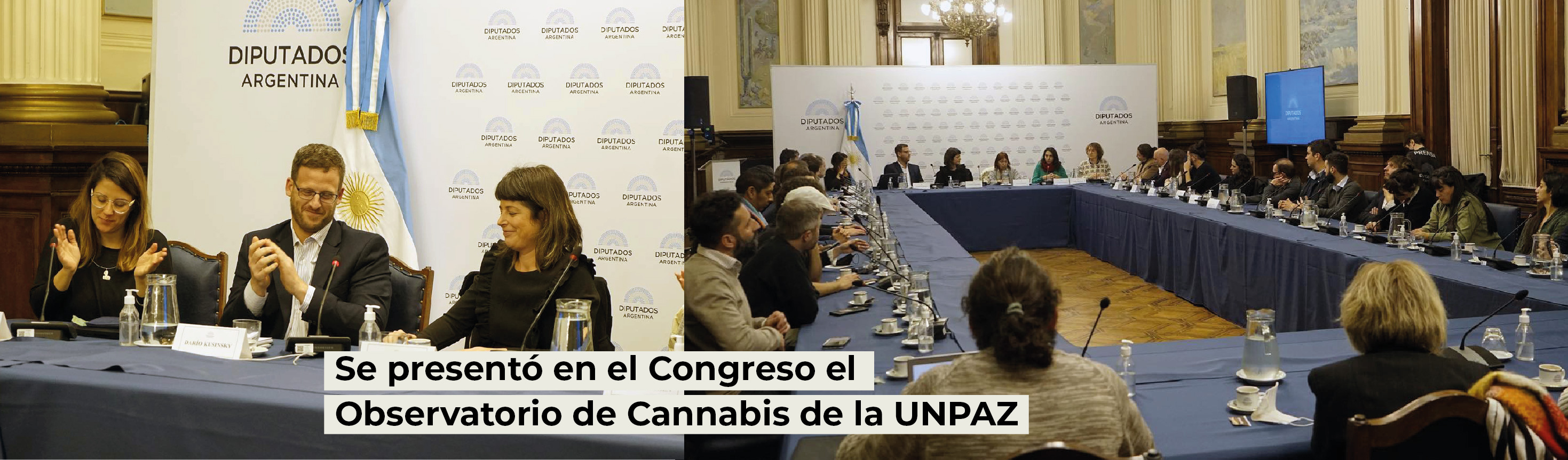 Se presentó en el Congreso el Observatorio de Cannabis de la UNPAZ