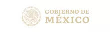 CONVOCATORIA ABIERTA A BECAS DE PROYECTOS COIL DEL GOBIERNO DE MEXICO PARA EXTRANJEROS 2023 - UNPAZ